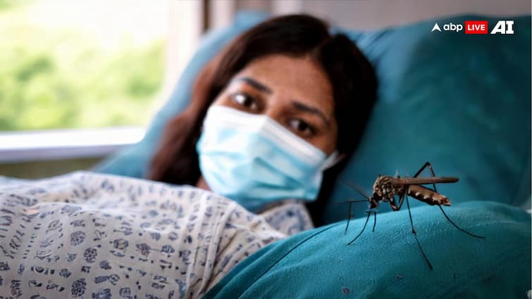 health tips not only dengue and malaria mosquitoes also cause of zika and yellow fever know how to avoid सिर्फ डेंगू-मलेरिया नहीं फैलाते मच्छर, आपके शरीर में पहुंचा सकते हैं इन खतरनाक बुखार के वायरस