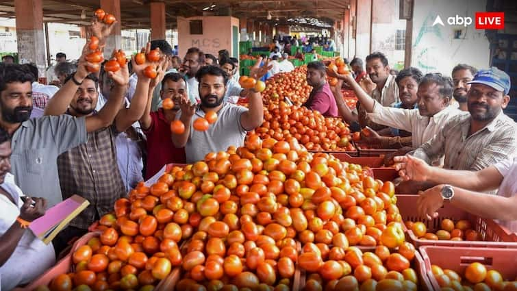 Government will sell tomatoes at 65 rupees per kg through NCCF and nafed and safal Tomato Sale: सरकार बेचेगी 65 रुपये किलो टमाटर, आसमान छूती कीमतों से मिलेगी राहत 