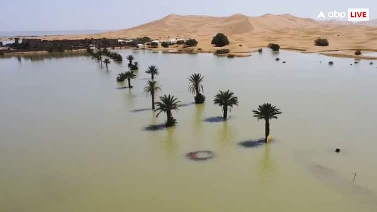 How did so much water suddenly appear in the Sahara Desert Know if this has happened before too सहारा रेगिस्तान में अचानक कैसे आ गया इतना पानी? जानें क्या इससे पहले भी ऐसा हुआ है