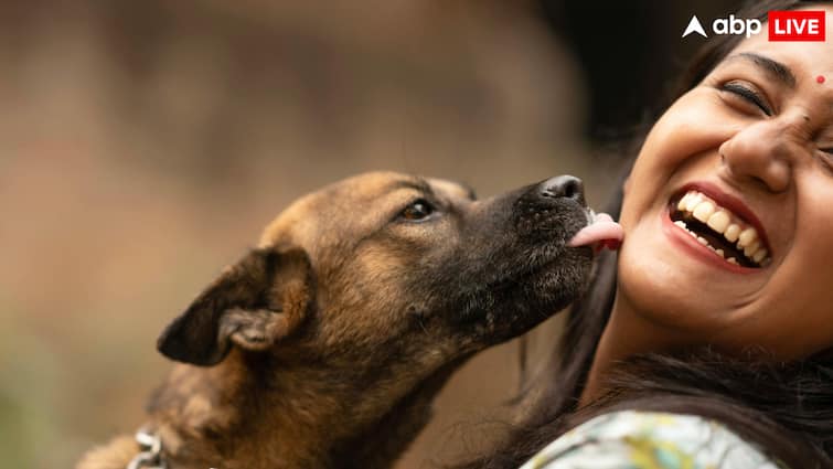 Why do dogs lick their owners what is the science behind it कुत्ते अपने मालिक को चाटते क्यों हैं, क्या है इसके पीछे का विज्ञान