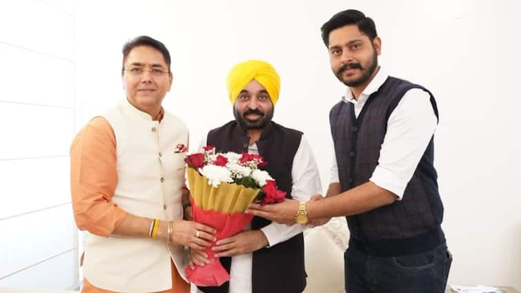 Aman Arora Punjab AAP president Amansher Kalsi working president अमन अरोड़ा पंजाब AAP के नए अध्यक्ष, अमनशेर कलसी कार्यकारी अध्यक्ष नियुक्त