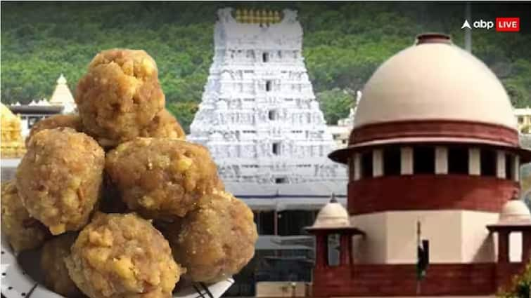 Supreme Court on Tirupati as seperate state why Justice Bhushan Ramakrishna Gavai mentions Jagannath Rameshwaram Kedarnath Badrinath Temple ईसाइयों के लिए वेटिकन तो तिरुपति अलग राज्य क्यों नहीं? याचिकाकर्ता के सवाल पर जगन्नथा, रामेश्वरम, केदारनाथ, बद्रीनाथ का नाम लेकर SC ने दिया ये जवाब